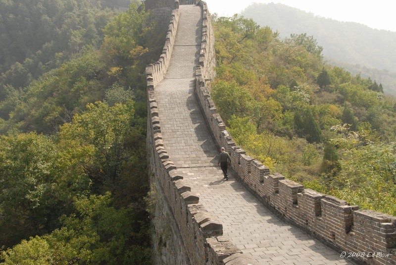 Alone on the wall.jpg - Mu Tian Yu